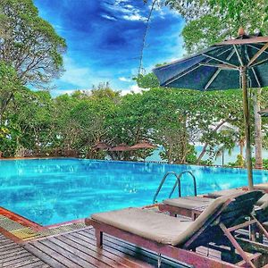 Birds And Bees Resort